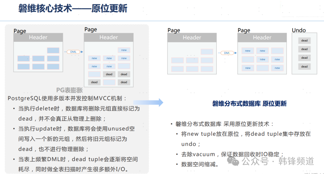 申请一个域名要多久？