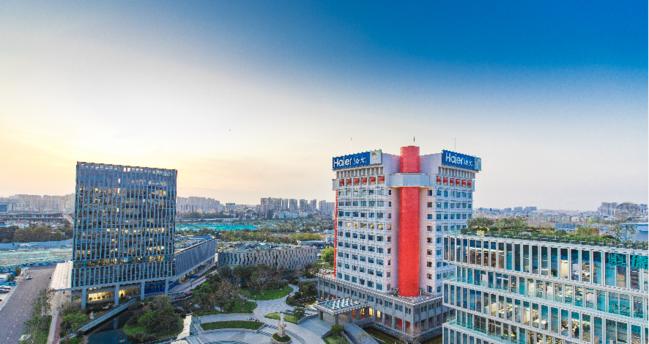 .company域名值得入手吗？