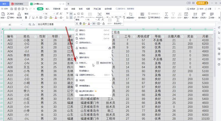 代码分享:DNS负载均衡设置