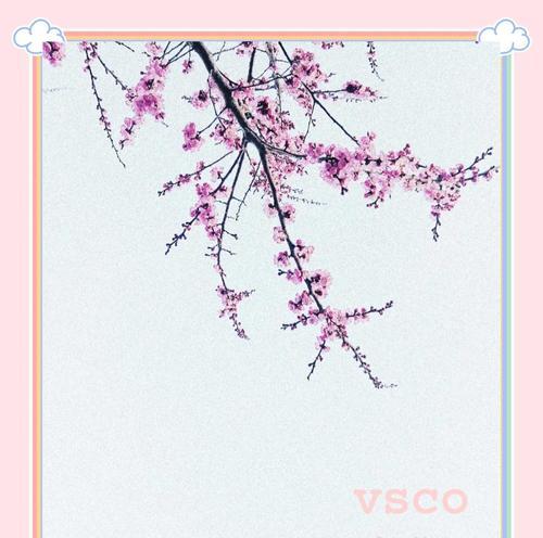 Js中截取字符串的三个方法 substring、substr、slice