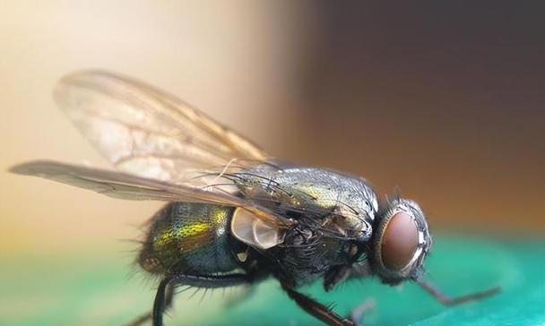 ubuntu网络连接图标不显示，执行下面的命令就可以解决复制代码代码如下:sudo service network-manager restart方法很简单，大家可以试一下